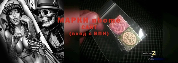 шишки Бородино