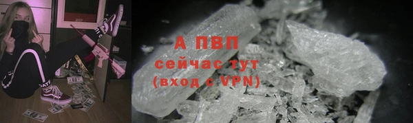 шишки Бородино