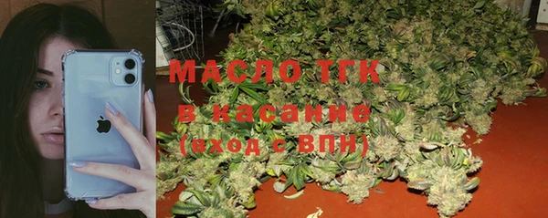 шишки Бородино