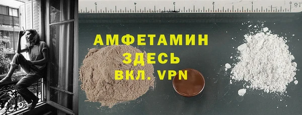 шишки Бородино