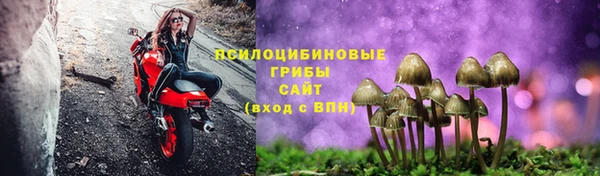 MESCALINE Богданович