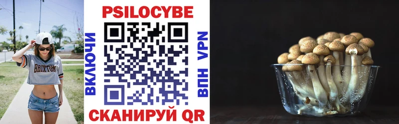 Псилоцибиновые грибы Psilocybe  Менделеевск 